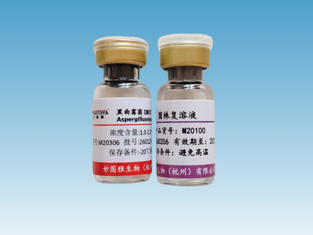M20306 黑曲霉CMCC(F)98003（E3）